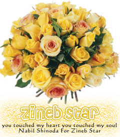 zineb-star
